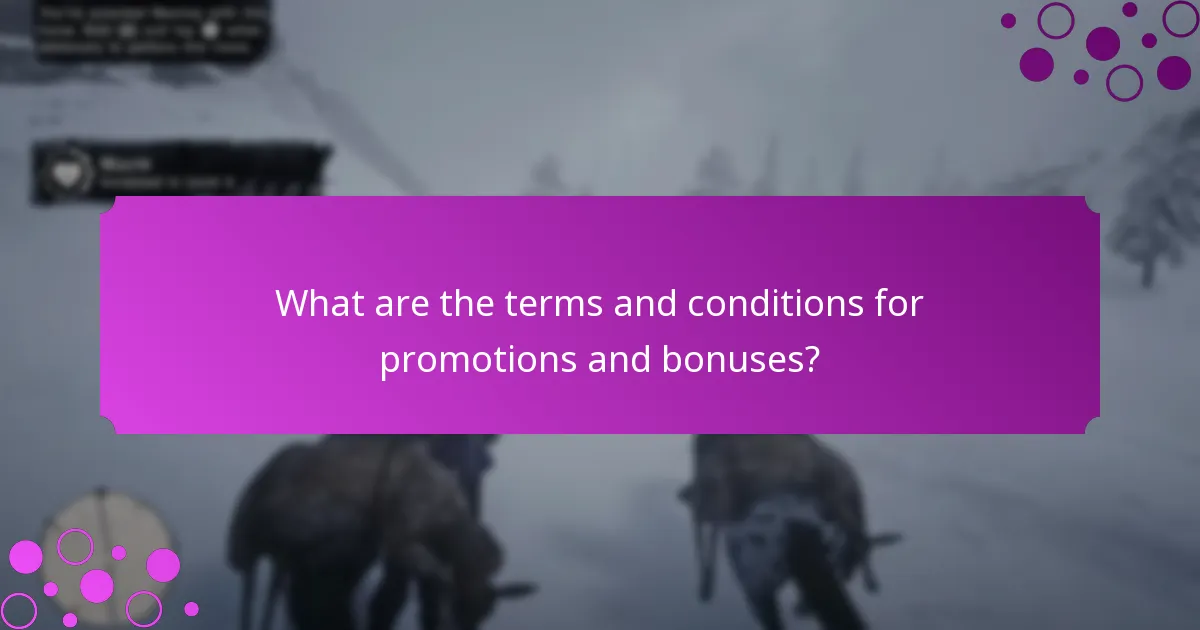 What are the terms and conditions for promotions and bonuses?